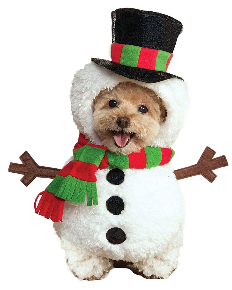 Walking Snowman Pet Costume, Large