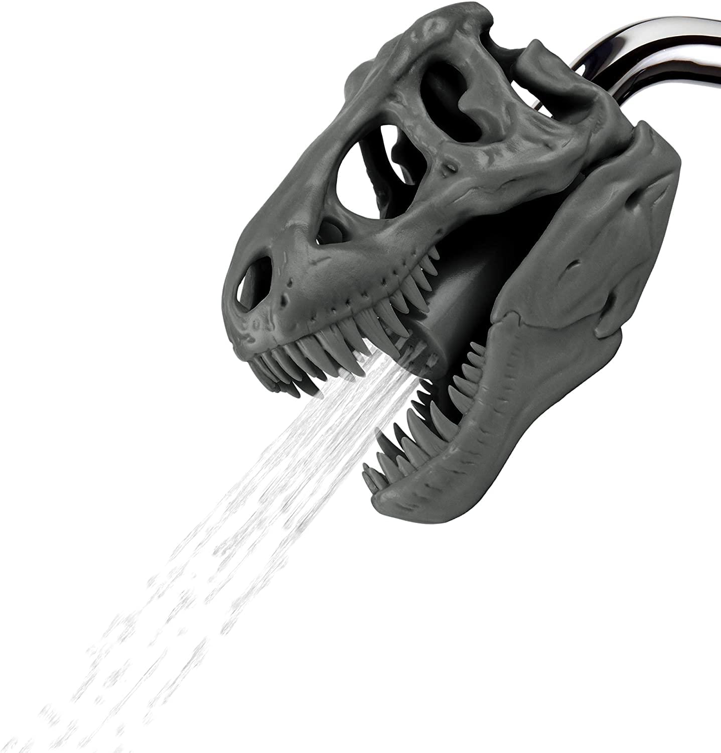 Wash N Roar Sculpted T-Rex Skull Shower Head | Gray