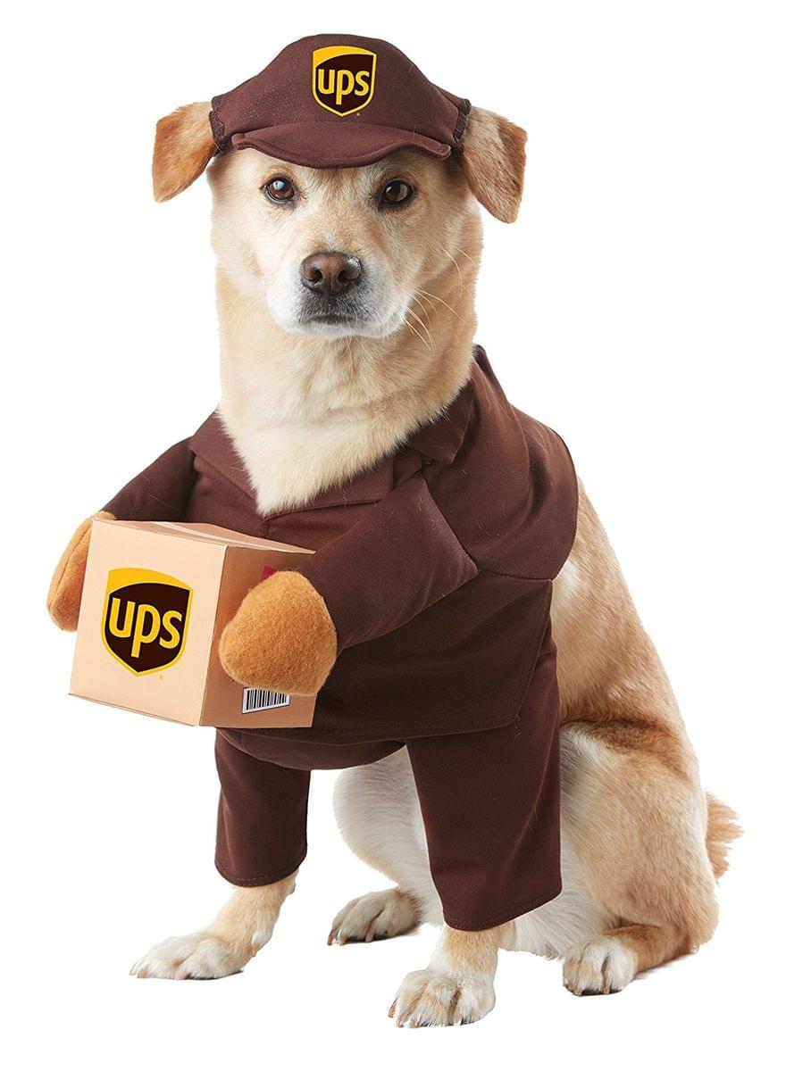 Pet Ups Pal Costume Large