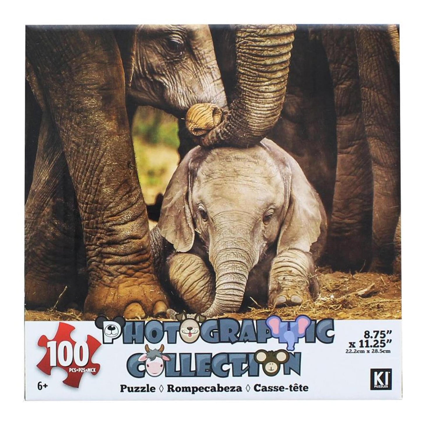 Elephant 100 Piece 100 Piece Photographic Collection Jigsaw Puzzle