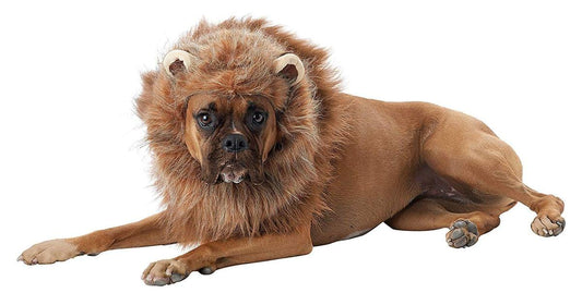 King of the Jungle Lion Man Dog Costume, Small