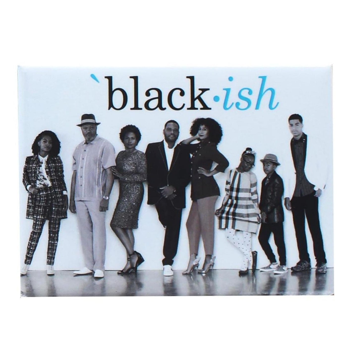 Black-ish Cast 2.5 x 3.5 Inch Magnet