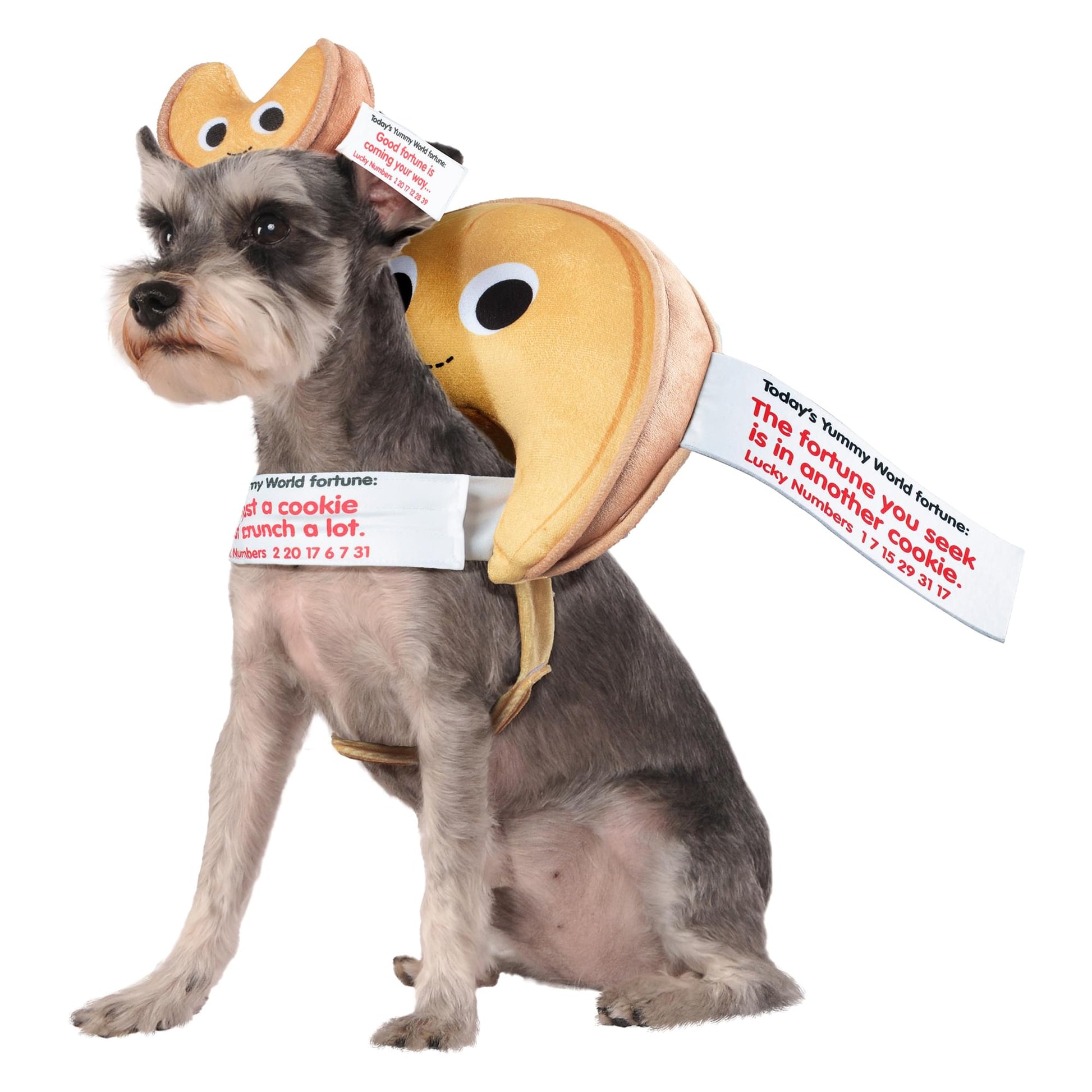 Yummy World Fortune Cookie Pet Costume | Medium