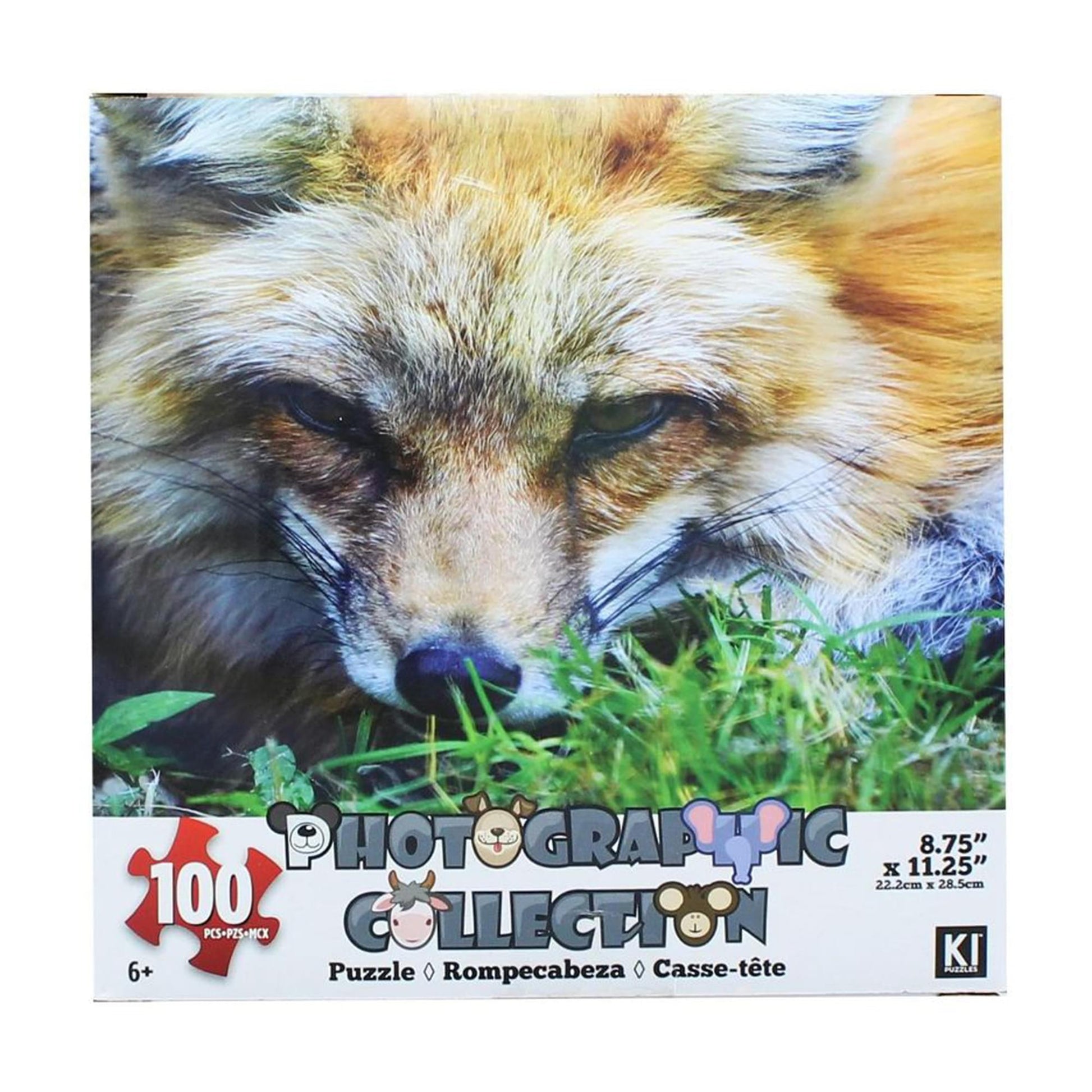 Fox 100 Piece Photographic Collection Jigsaw Puzzle