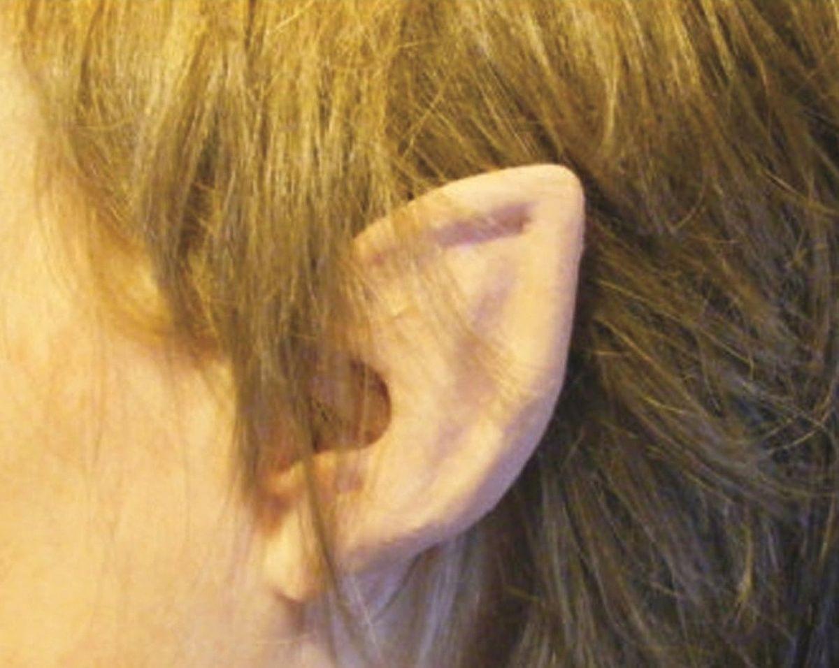 Cosplay Flexi Ears Costume Accessory Short Elf Flesh