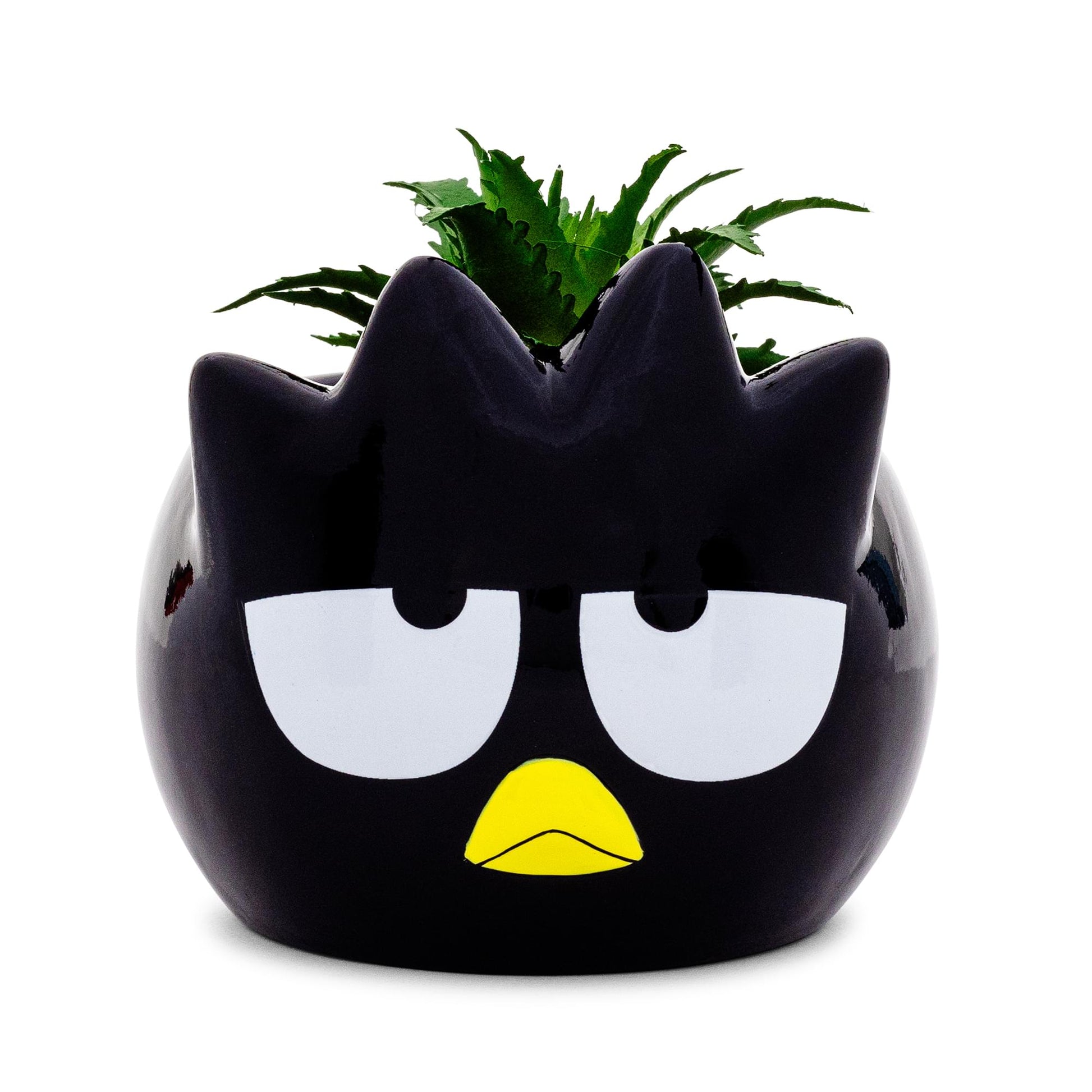 Sanrio Badtz-Maru 3-Inch Ceramic Mini Planter With Artificial Succulent