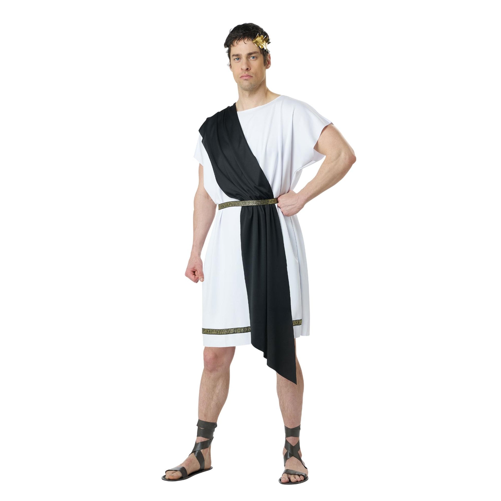 Party Toga Adult Costume | Small/ Medium