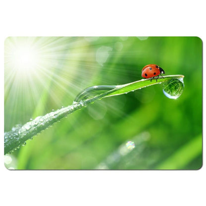 Non-slip Mat Esperanza EA133 Multicolour