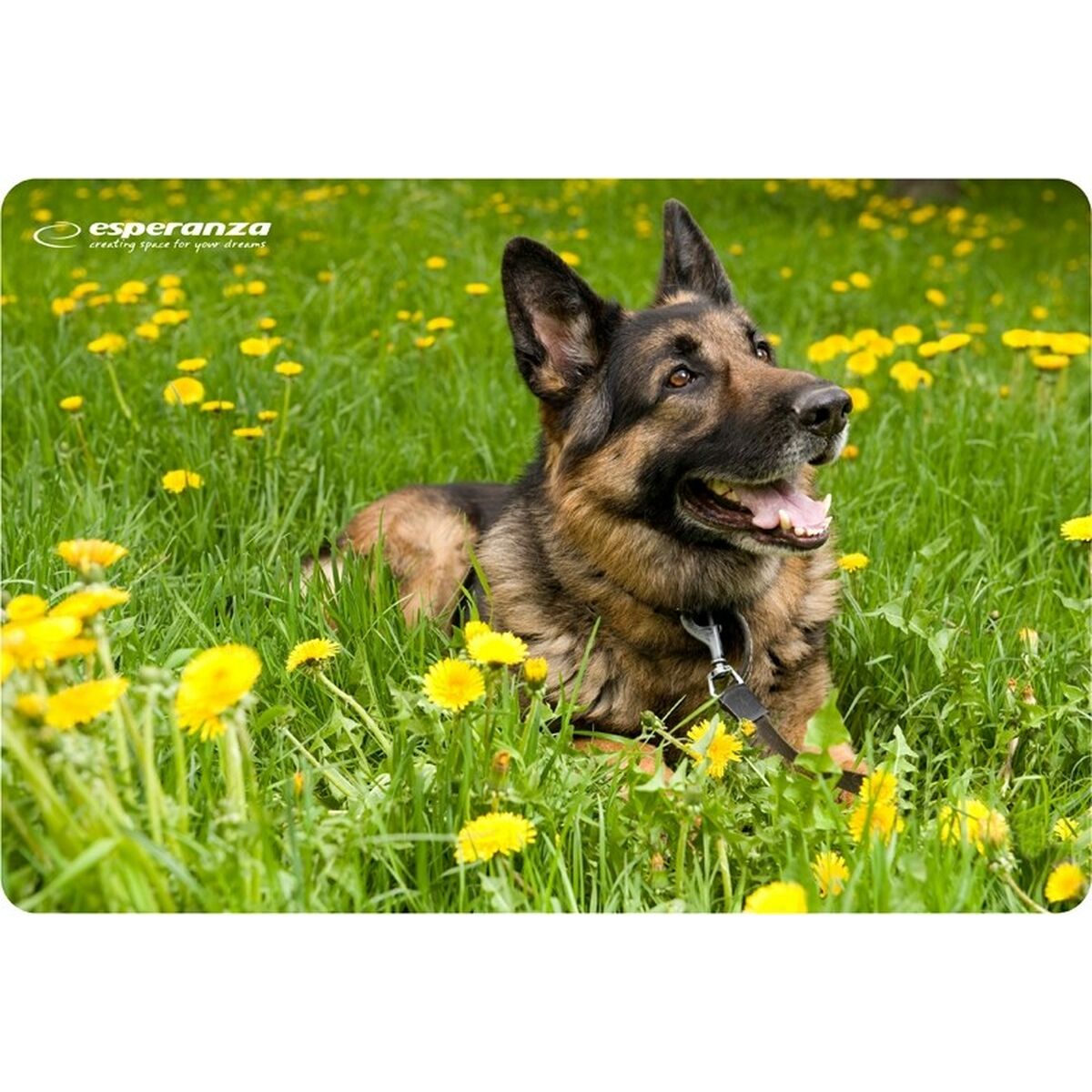 Non-slip Mat Esperanza EA133 Multicolour