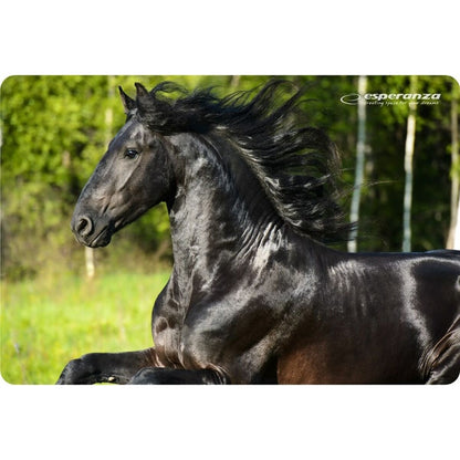 Non-slip Mat Esperanza EA133 Multicolour