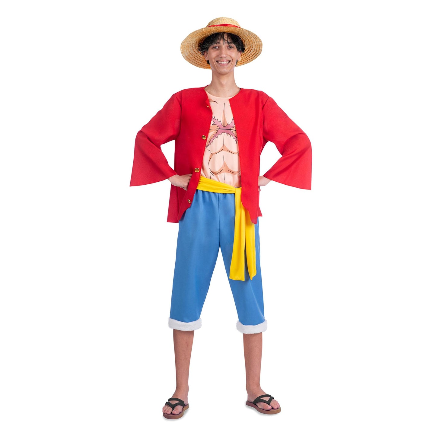 One Piece Luffy Adult Costume | Medium