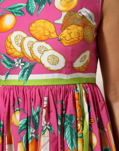 Pink Fruit Print A-line Mini Sleeveless Dress