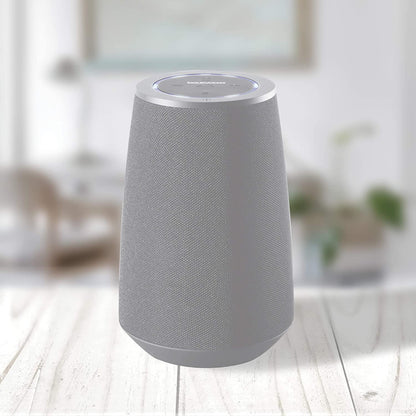 Daewoo Voice Assistant Bluetooth Speaker Compatible with Siri & Google Assistant Grey