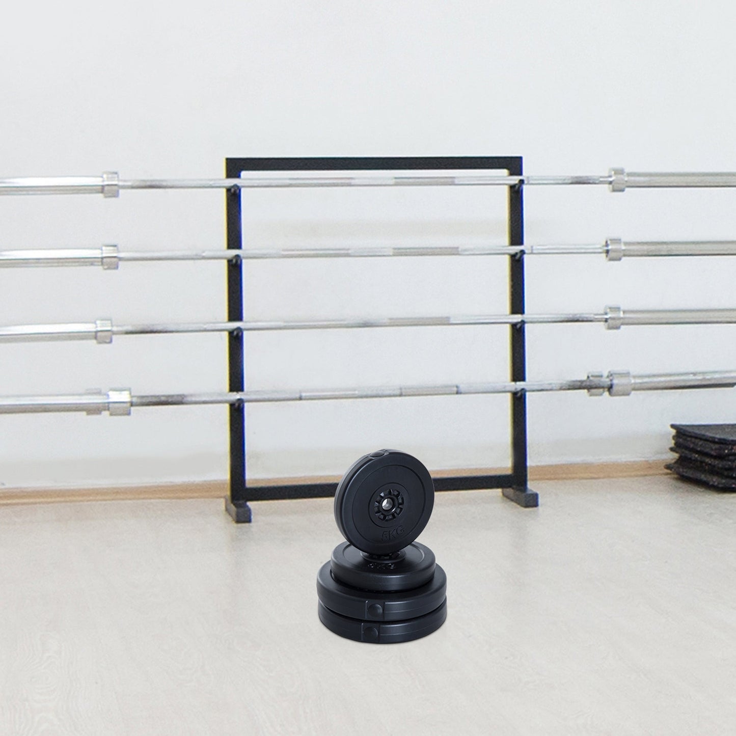 4 Piece Dumbell Barbell Plate Set 2 x 5kg and 2 x 10kg for Home Gym HOMCOM