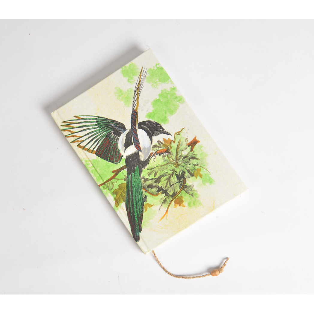 Hand Painted Bird Diary