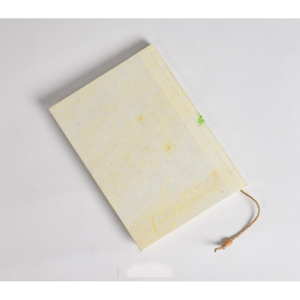 Hand Painted Bird Diary