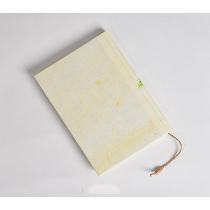 Hand Painted Bird Diary