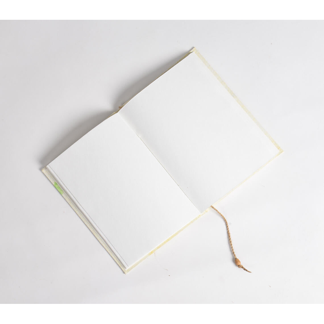 Hand Painted Bird Diary