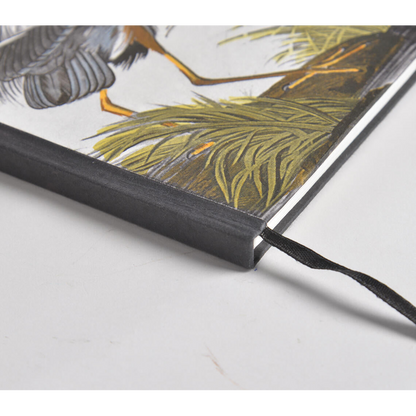 Hand Painted Noir Bird Diary