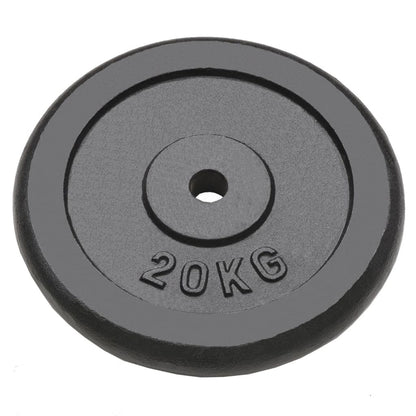 Weight Plates 2 pcs 2x20 kg Cast Iron