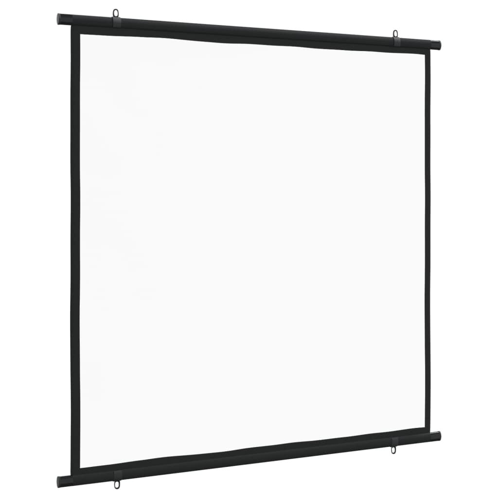 Projection Screen 50" 1:1