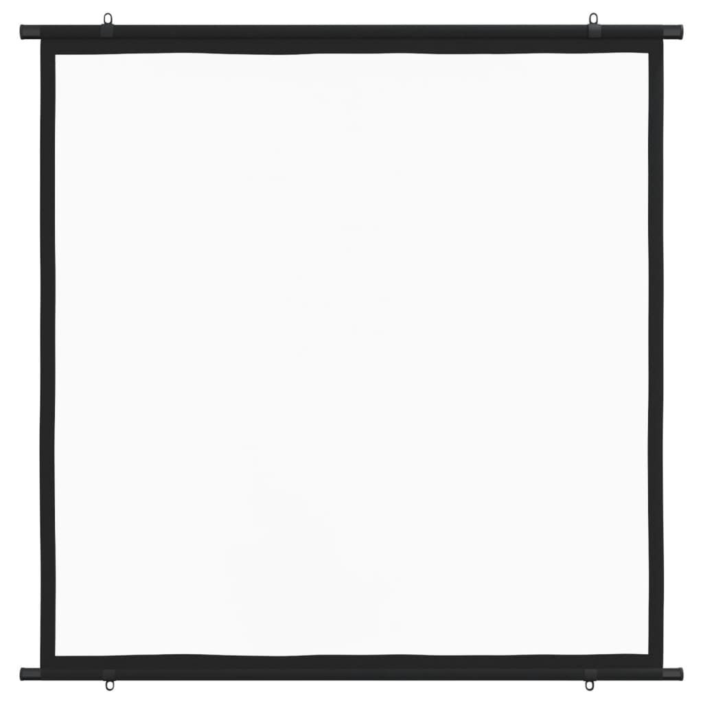 Projection Screen 50" 1:1