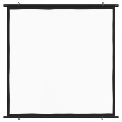 Projection Screen 50" 1:1