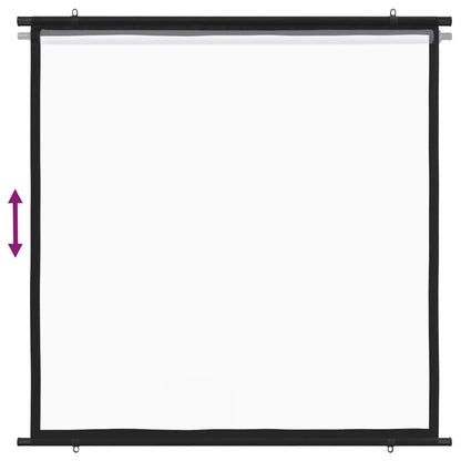 Projection Screen 50" 1:1
