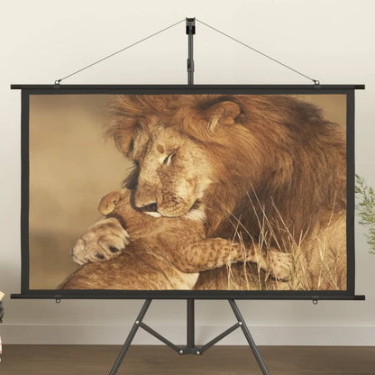 Projection Screen 60" 16:9