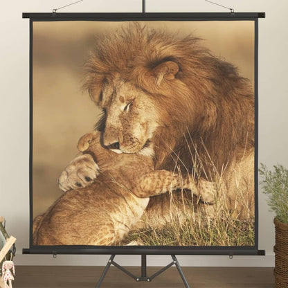 Projection Screen 57" 1:1