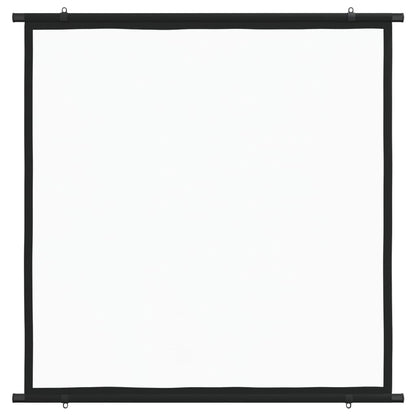 Projection Screen 57" 1:1
