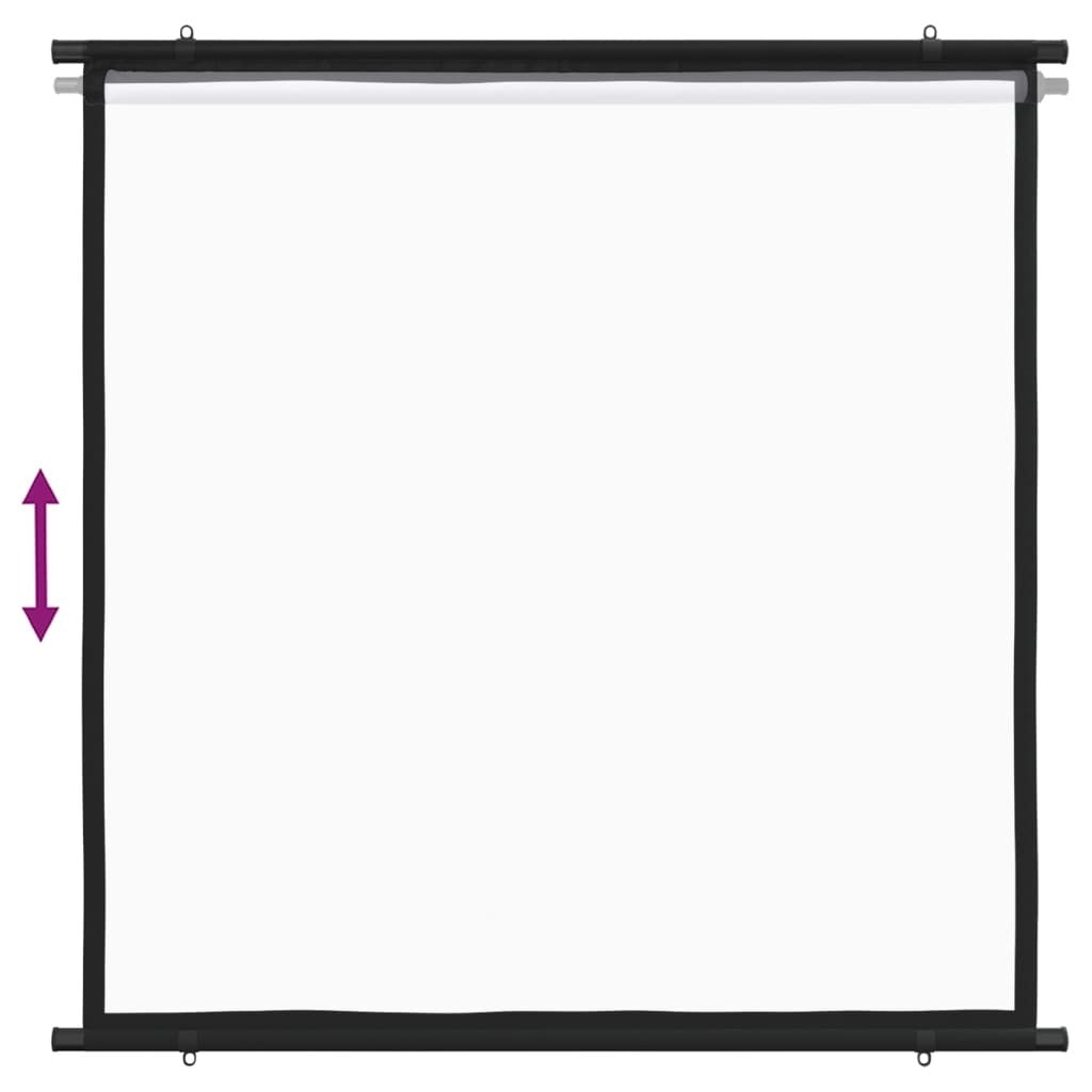 Projection Screen 57" 1:1