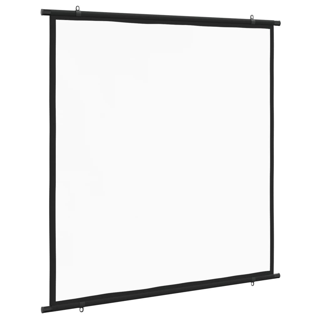 Projection Screen 47" 1:1