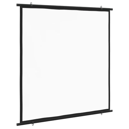 Projection Screen 47" 1:1