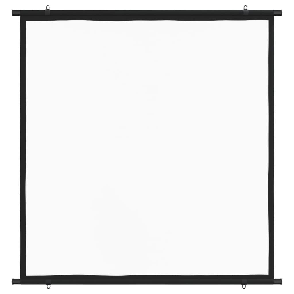 Projection Screen 47" 1:1