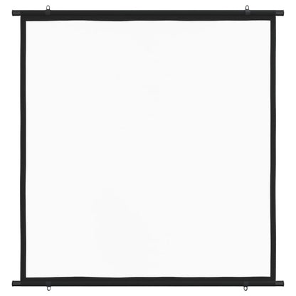 Projection Screen 47" 1:1