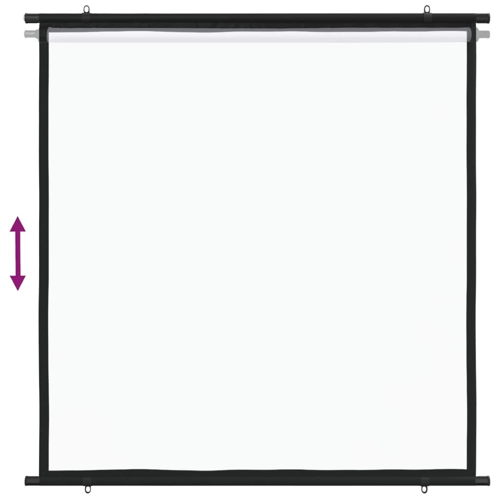 Projection Screen 47" 1:1