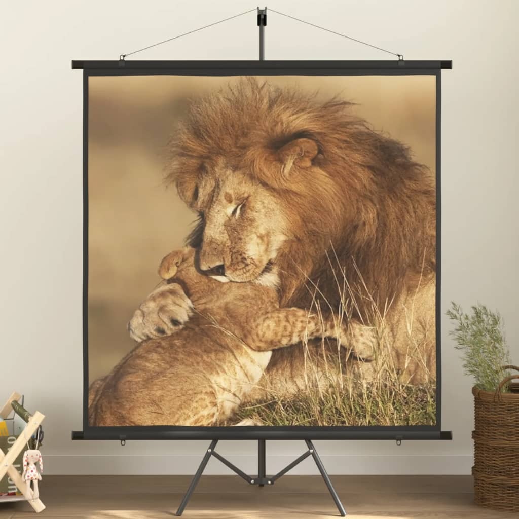 Projection Screen with Tripod 57" 1:1