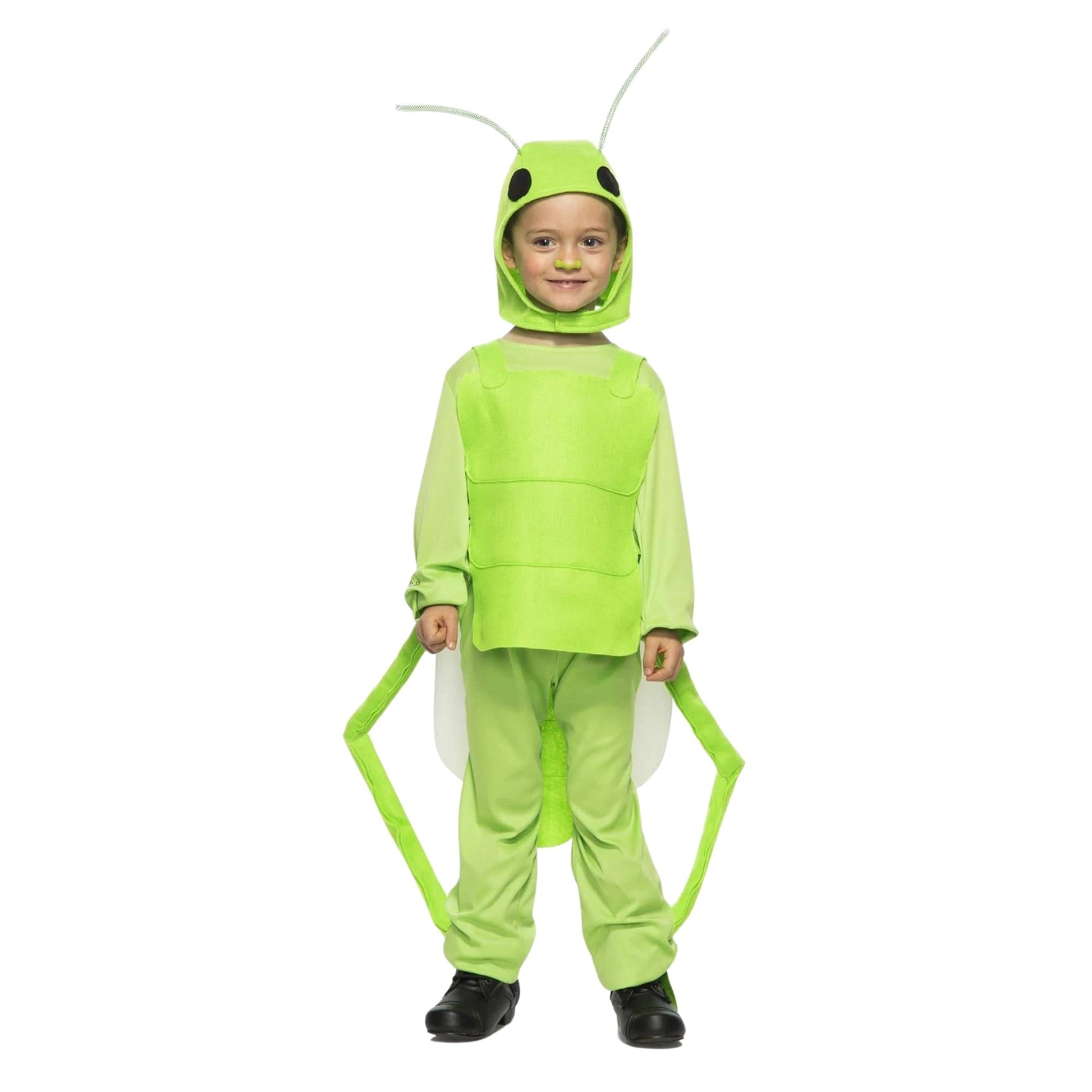 Flying Grasshopper Child Costume 4T