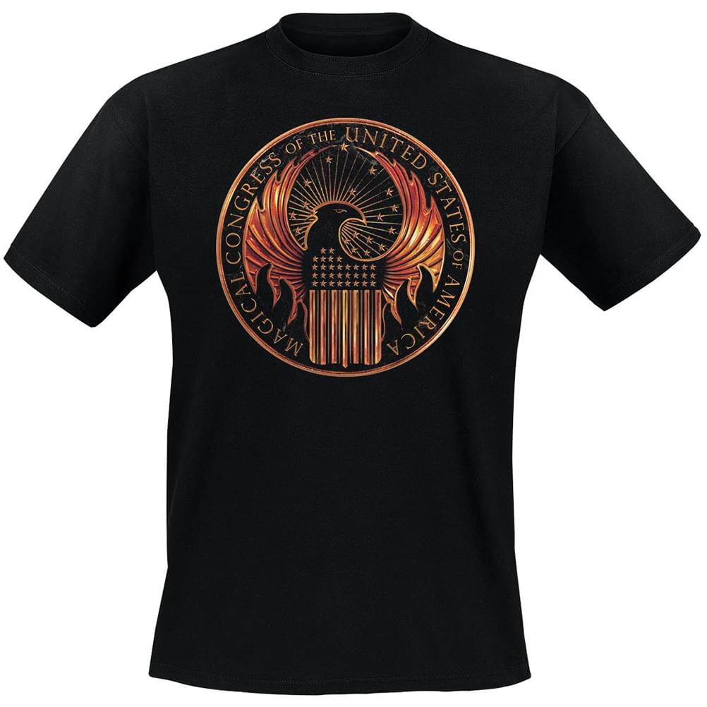 Fantastic Beasts Youth Black Magical Congress T-Shirt: Medium