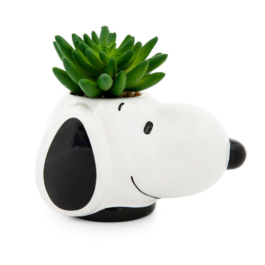 Peanuts Snoopy Face Ceramic Mini Planter with Artificial Succulent | 3.5"L x 5" H x 5" W 